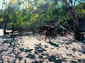 What You Didn’t Expect to See on a Tropical Beach 🏖️😆 peeing, urinating, taking a leak, xixi