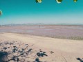 What You Didn’t Expect to See on a Tropical Beach 🏖️😆 peeing, urinating, taking a leak, xixi