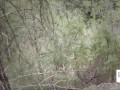 The search for a sexual ghost that leads you to fuck
