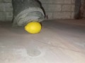 Lemon Crush in Slow Motion Under Dirty Boot 👣👣