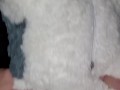 Fan purchased plushie and I fucked it just the way they wanted