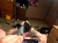 hot emo babe suck and swallow close up POV