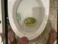 Morning pissing in the toilet with an uncircumcised penis, view from the eyes