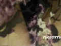 Sitting on your face with my big ass and make you enjoy my pussy. Facesitting POV