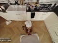 VR Bangers: Lusty Italian Chef Eveline Dellai Deeply Sucks Huge Cock & Fucks in The Ass to Get Cum For Ice Cream | HD Porn