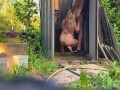 Public sex with a pregnant stranger with a creampie