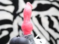 Nothosaur Graemen Review: A Knotted Wolf Dildo with Humongous Balls and Cumtube