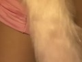 meu novo rabinho rosa