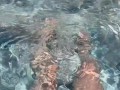 Italian Big Tits Milf Artemisia Love Sexy Pussy Play in the Jacuzzi Nakedoutdoor OF@ArtemisiaLove101