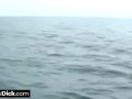 Small cock guy getting a double blowjob while sailing on a yacht