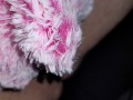 New pink teddy bear fuck