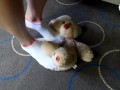 Teddy bear gets trampled by mad Megan! (femdom, foot domination, long toes, bare feet, sexy soles)