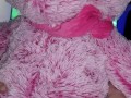 Pink teddy fuck