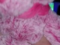 Pink teddy fuck