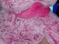 Pink teddy fuck