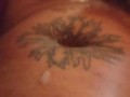 Hot Latino Guy Cock Cumshot Compilations (Hot Male Self Facial)