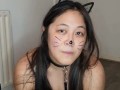 Lost Kitty chubby Aussie Asian strips, looking for a home