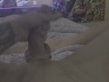 Filming myself masturbating and cumming