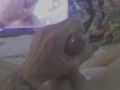 Filming myself masturbating and cumming