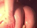 Playing with my oiled up ass