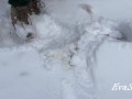 I pee in the snow in winter