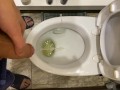 Guy pees uncut dick in toilet