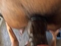 FPOV You get your throat fucked by a big thick buldging cum blasing BBC