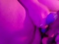 canine dildo