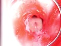 CAMERA INSIDE PUSSY: BIG CUMSHOT IN PUSSY! BEST Internal ASMR in 4K