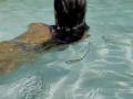 Monika Fox In Blue Bikini Swims In Pool In Paradise Place