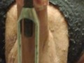Dick n balls that are stretched regularly stretch pussies and assholes regularly