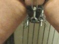 Dick n balls that are stretched regularly stretch pussies and assholes regularly