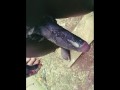 Longest biggest African black Mandingo DICK creamed and stroke for multiple CUMSHOTS