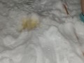Steamy pee in the snow