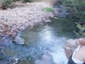 chica de gran culo pilla a un hombre masturbandose en el bosque y le agarra su polla