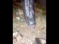 30 seconds of Monster Super sized African Cock