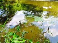 Sensual Sex in the african jungle