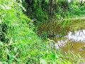 Sensual Sex in the african jungle