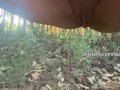 Your naughty fairy masturbates against a tree and pees when she's done