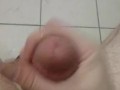 Fucking Blue Balls Would Not Go Soft, Public Bathroom stall Edged Cock Ejaculating Cum