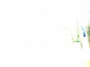 Wet vs dry, seethrough shirt in the shower