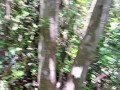 The best Camping with Fucking in the Forest