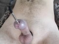 Fuck my urethra. Deep sounding and crazy cum
