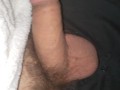 Showing you my flaccid cock