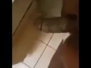 Ain't woman head can make me nut and I can hold my nut back from a woman head and pussy to keep from