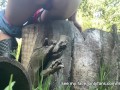 Girl uses a log as a toilet to pee