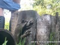 Girl uses a log as a toilet to pee