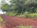 Girl Peeing on the Side of a Rural Road with Muddy Boots