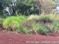 Girl Peeing on the Side of a Rural Road with Muddy Boots