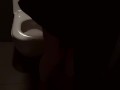 Sex with My Gorgeous Stepmom in the Men's Toilet During a Party Dada Deville